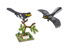 CaDA Klemmbausteine Vögel Nordamerikas - 350 Teile