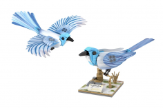 CaDA Klemmbausteine Vögel Nordamerikas - 350 Teile