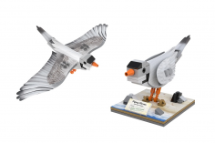 CaDA Klemmbausteine Vögel Nordamerikas - 350 Teile
