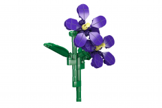 MouldKing Klemmbausteine Blumen Veilchen - 145 Teile